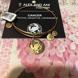Alex and Ani Cancer Zodiac Bracelet